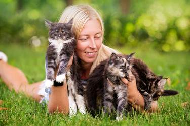 Similar image 21332344