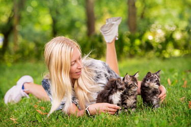 Similar image 21327779