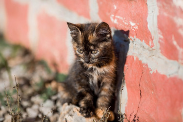 Similar image 21328468