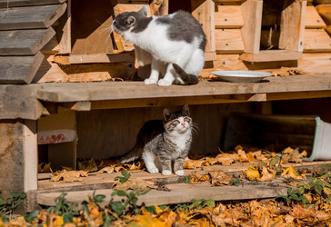 Similar image 21328469