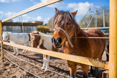 Similar image 21328471