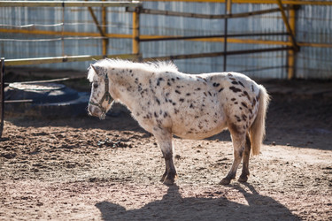 Similar image 21328472