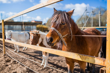 Similar image 21328613