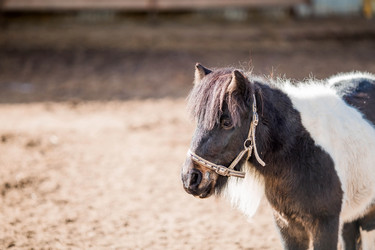 Similar image 21326658