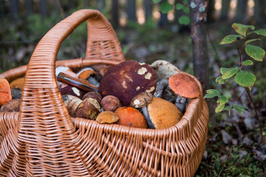 Similar image 21326659