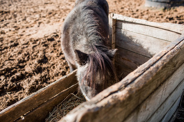 Similar image 21326662