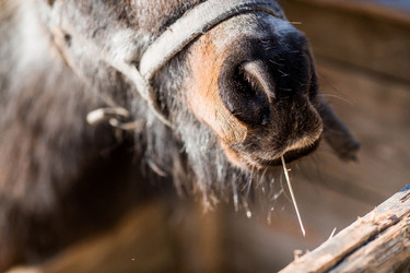 Similar image 21326663