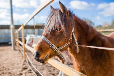 Similar image 21326664