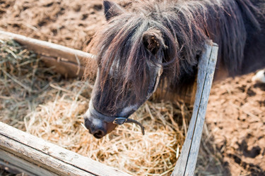 Similar image 21328013