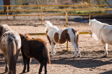 Similar image 21328016