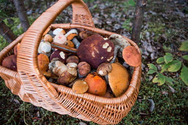 Similar image 21328033