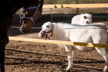 Similar image 21328083