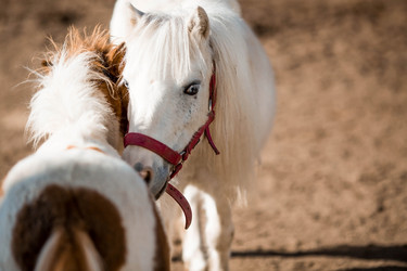 Similar image 21328087