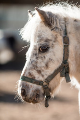 Similar image 21328089