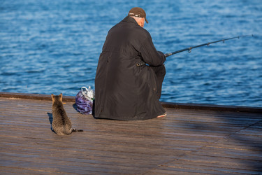 Similar image 21328137