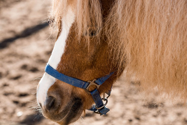 Similar image 21328138