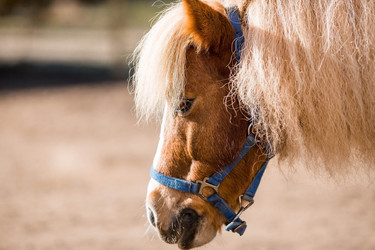 Similar image 21328140