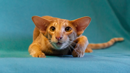 Similar image 21325101