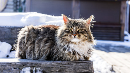 Similar image 21325116