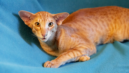 Similar image 21325124