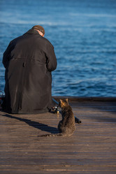 Similar image 21326674