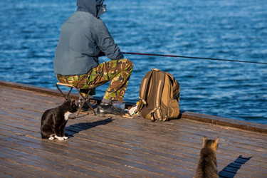 Similar image 21329447