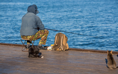 Similar image 21329448