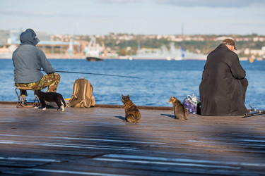 Similar image 21329450