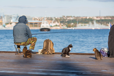 Similar image 21329451