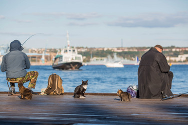 Similar image 21326678