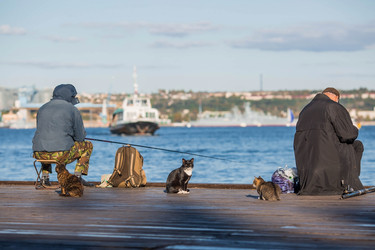 Similar image 21326679