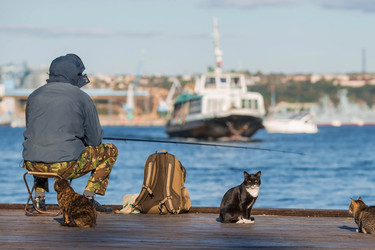 Similar image 21326681