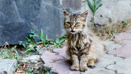 Similar image 21325027