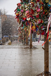 Similar image 21325030