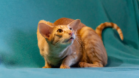 Similar image 21325031