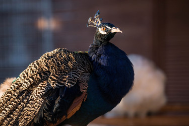 Similar image 21328619