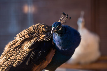 Similar image 21328621