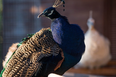 Similar image 21328623