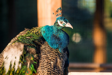 Similar image 21328625