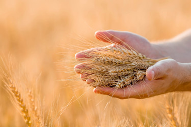 Similar image 21328631