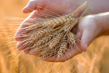 Similar image 21328737