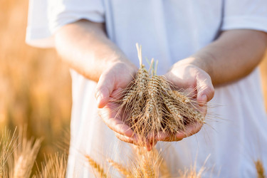 Similar image 21328739