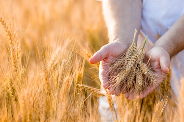 Similar image 21328741