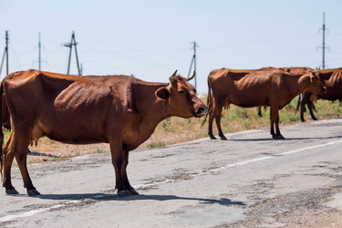 Similar image 21328745