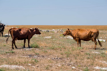 Similar image 21328746