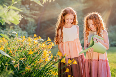 Similar image 21327866