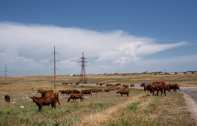 Similar image 21328491