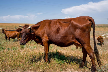 Similar image 21328492