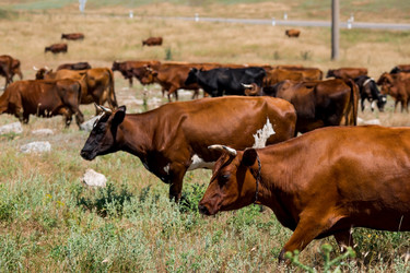 Similar image 21328634