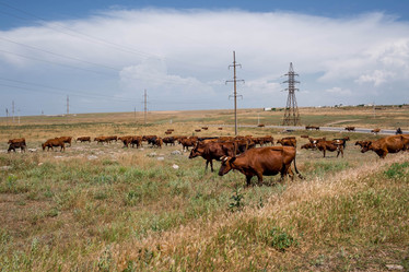 Similar image 21328635